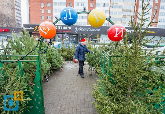 Где купить елку в Москве. Адреса елочных базаров