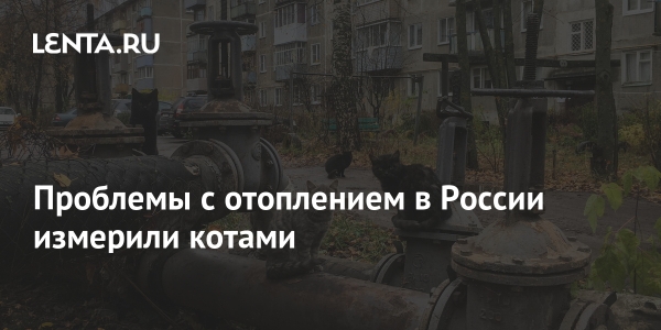 Проблемы с отоплением в России измерили котами