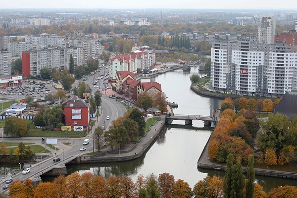 Россиянин нашел мумию в унаследованной квартире