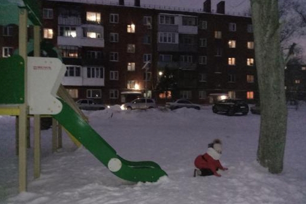 В российском городе нашли детскую горку со съездом в дерево