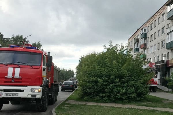 Россиянин сжег квартиру и обвинил в случившемся кота-«курильщика»